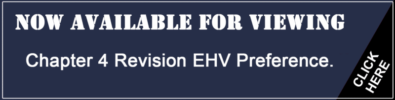 Chapter 4 Revision EHV Preference